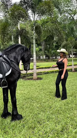 🎶 Me voy pa’ allá, me voy pa’ acá… Así andamos nosotros, de trote en trote y con toda la actitud 😎🐎 #CulturaEcuestre #EstiloALomo #ModoChill ✨🌾💃🏻