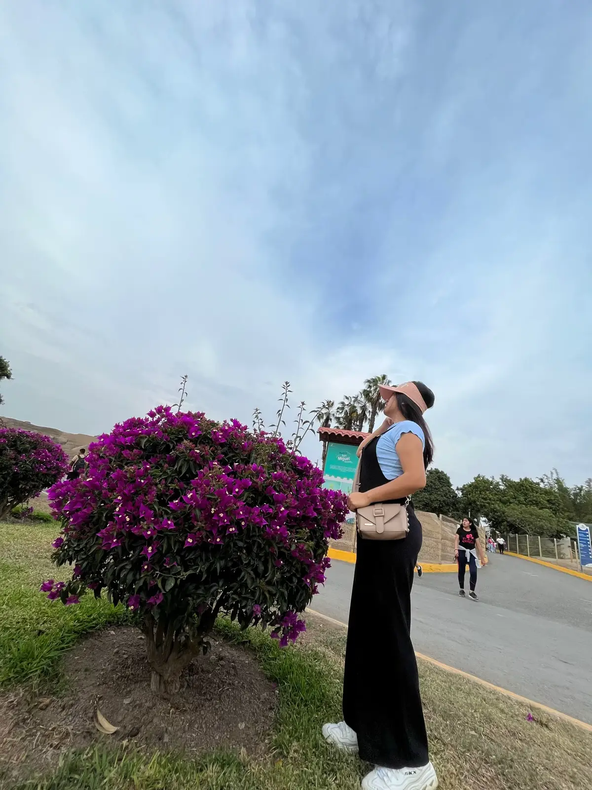 #likе #viralvideos #lima 