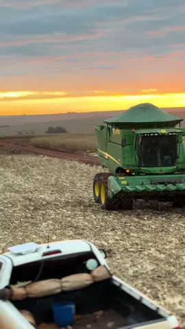🤠💚 #fyp #viral #agro #viralvideos 