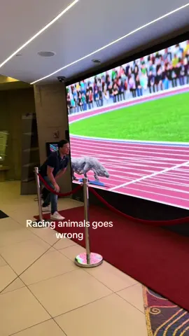 Im 💀#viral #letsleave 