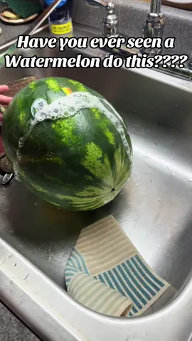 We noticed the watermelon my mom got today was leaking…. This was weird!!! #weirdtok #strange #crazyvideo #crazy #viral #watermelon #Summer 