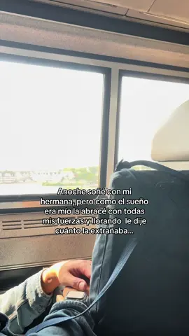 Te extraño tanto♥️🙌🏼#imissyou #teextraño #amordehermanas #hermanas #paratii #fyp @Andrea S #distancia #emigrar 