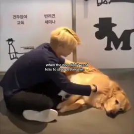 #heartwarming #cuteanimals #cute #fyp #fypシ #viral #xyzbca #trending 