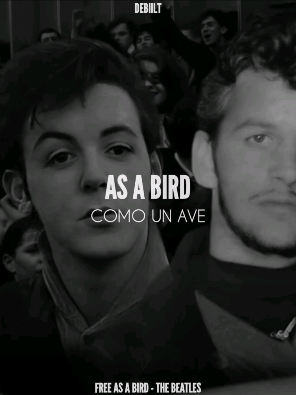 Free As A Bird - The Beatles #fyp #thebeatles #paulmccartney #johnlennon #georgeharrison #ringostarr #letitbe #something #foryou #queen #freddiemercury #letrasdecanciones #parati #paradedicar #Viral #fyppppppppppppppppppppppppppppppppppp @The Beatles 