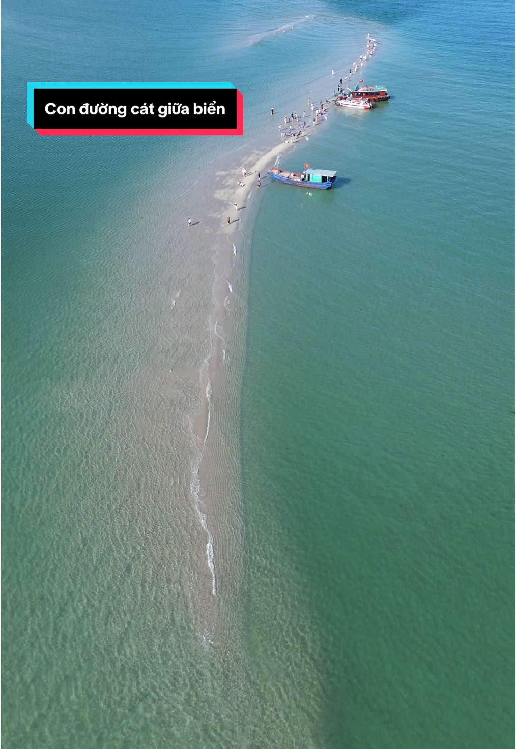 Con đường cát giữa biển ở Đảo thanh Lân- con đường cát Tuỳ duyên siêu đẹp😍##xuhuong #đảocoto #dulich #haireviewthanhlan 