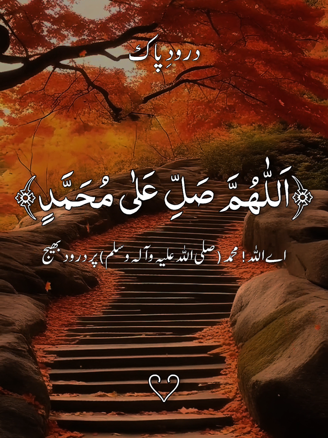 #درودِ_پاک_کثرت_سے_پڑھیں #darood_e_pak #longervideos #quran_kareem #islamicreminder #quranrecitation #foryou #quran #growmyaccount #islamicreminders #unitedstates 