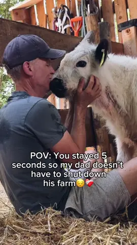 Every order matters😔❤️ #cute #cow #farm #slippers 