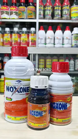 NOXONE 276 SL Herbisida Kontak Basmi Rumput Liar Dengan Cepat #herbisida #herbisidarumput #herbisidakontak #noxone #videoviral #fyp 
