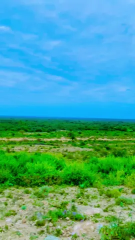 Bal kuqiimey hawigaan queuxsan talefankaaga dabkiisa me 93%🫣🫵#baidoa_janaay🇦🇿🇦🇿🇦🇿🇦🇿🤞✍west_kgs_ 