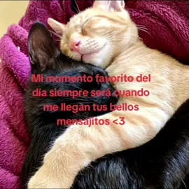 Mensajes que alegran el día 💞💘@Isaias Ezequiel todo un romántico, te amo cariño, gracias por alegrar mis días 💕♥️💌#dedicarvideos♡ #textorojo #fyp #amor #novios #tik_tok 