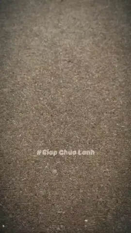 #giapchualanh #sachhay #phattrienbanthan #chualanh #baihocthanhcong #cuocsong #trietlycuocsong 