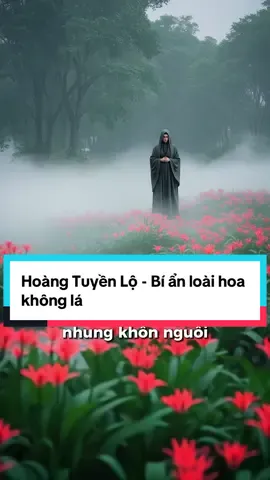 Truyền thuyết kể rằng, sau khi một người qua khỏi Quỷ Môn Quan, họ sẽ bước lên con đường mang tên Hoàng Tuyền – nơi dẫn về cõi âm sâu thẳm. #muuluocconhan #manhba #luanhoi #baihoccuocsong 