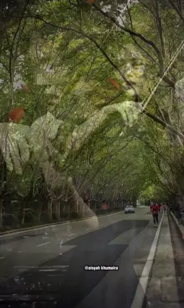 motivasi kehidupan #quetes #katakata  Assalamualaikum sahabat....🙏 