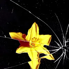 iris - goo goo dolls #iris #googoodolls #lyrics #brat #song #music #lyricsedit #lyricsvideo #spotify #lyrics_songs #fyp #foryou 