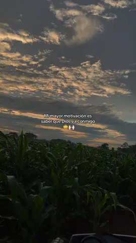 #CapCut #videoviralenelcampo #lomejordetiktok #videodeagricultura #cosechademaiz #eloroverde #delamanodeDios #Amen 🙇🏻‍♂️🙇🏻‍♂️🙇🏻‍♂️