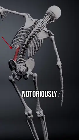 Want an easy program that fixes mobility and pain (like this) from head to toe + can be individualized to your body? Check out my Beginner Body Restoration program. Link in bio!