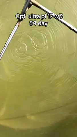 #ต้องยอมรับความแข็งแกร่งของชุดนี้ครับสภาพอากาศแย่มากๆแต่กินดีตลอดไม่มีถอยเลย