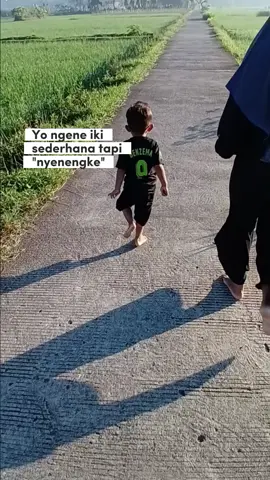 sederhana ae #kampung #sawah #desa 