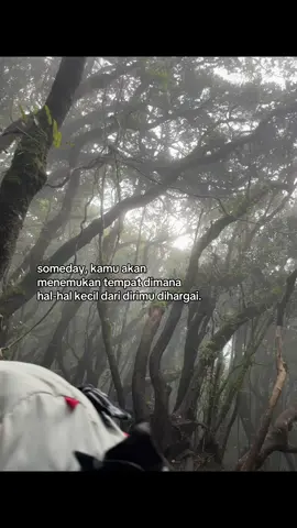 Seindah dan se tenang ini kah🫀 . . . . . . #fouryou #lewatberanda #fyp #4au #fypage #trekking #gununggede #p #xbca #ruanggalau #sadstory #gedepangrango #galau 