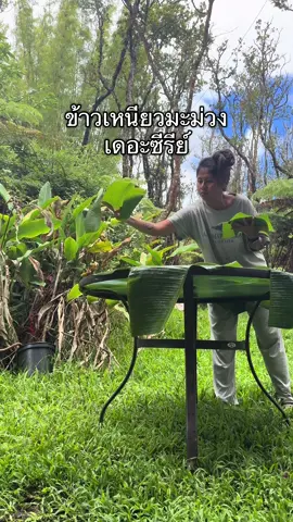 วันแรกของการตั้งเต็นท์ขายข้าวเหนียวมะม่วง #itellyoumystory #ข้าวเหนียวมะม่วง #คนไทยในต่างแดน 