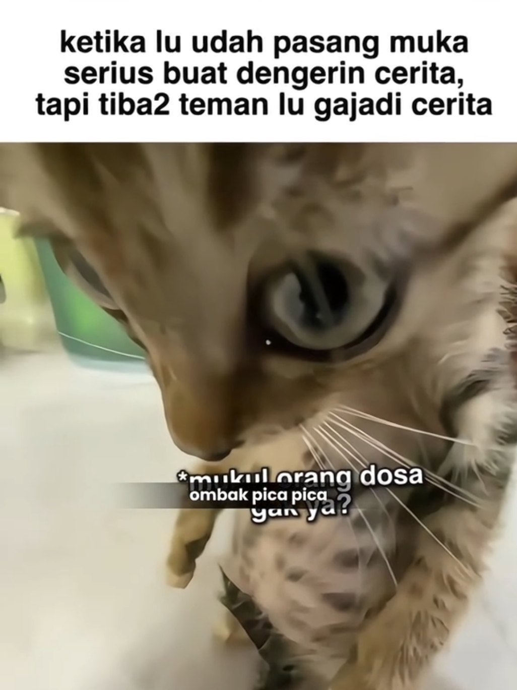 #jj #meme #relatable #fr #asli 