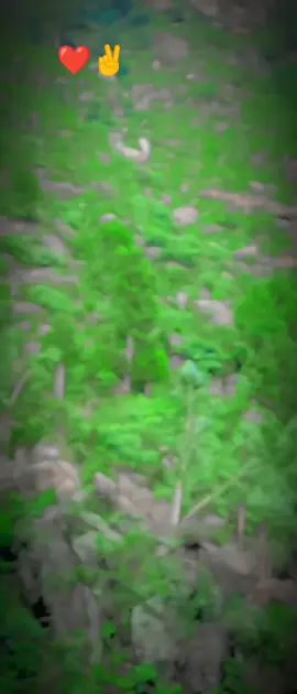 da di noro halko#hpala hpala khwaha#ho di yow sari ta swal oki chi nazi😭😭😭#vivseproblam #repostvidio #evryonesapport😭✌️ 