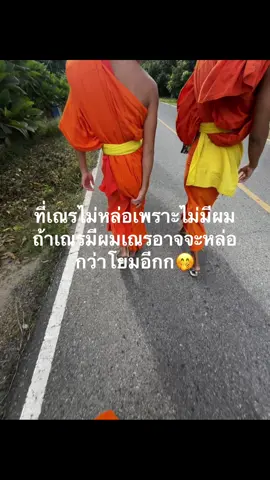 ฟีดดดเถอะ#ลำพูน