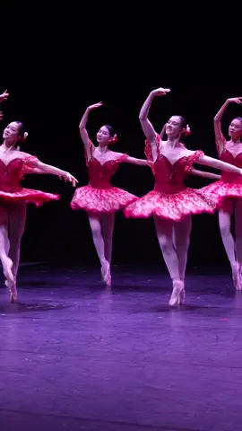 Whether you're a lifelong ballet lover or discovering it for the first time, Ballet Under the Stars is a show you won't want to miss. Featuring Paquita, a classic ballet full of royal elegance and vibrant Spanish flair, the evening promises dazzling choreography and timeless grace. Follow the story of a noble heroine as she dances her way through love, adventure, and celebration. ✨🩰 Note: Paquita will only be performed on the first weekend of Ballet under The Stars, so grab your tickets quickly! 🎟️🔥 Let the magic of ballet take centre stage under the stars at... 📍Venue: Fort Canning Green 📆 Dates: 19-21 & 26-28 September | 7:30pm Tickets: $48 (excluding SISTIC fees) Link in bio for more information! #singaporeballet #balletclass #youthballet #sgdance #sgballet #dance #balletunderthestars