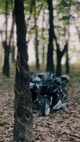 সময়ের বিবর্তনে আজ সব স্মৃতি..!🫶😩 #bdtiktokofficial #tiktokviral #foryoupage #unfrezzmyaccount #fipシviral 