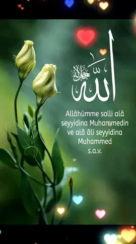@💚NAKŞİ🇹🇷AİLESİ🇹🇷BİR%GÜL💚 