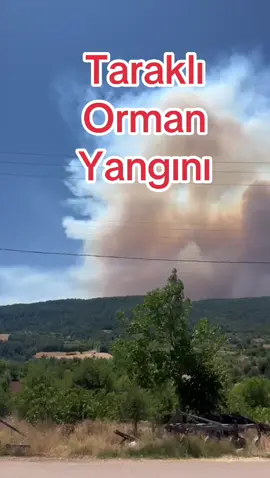 Taraklı Sakarya Geyve orman yangını#sakarya#taraklı#geyve#gölpazarı#bilecik##keşfet