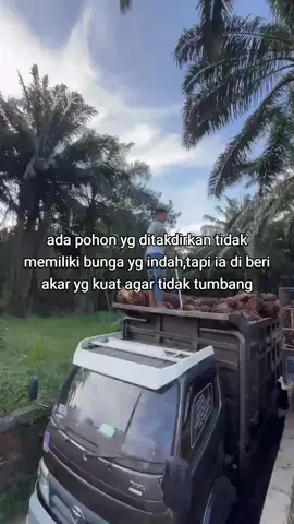 tapi ini bukan tentang pohon #bismillahfypシ #fyppppppppppppppppppppppp #bismillahfypシ 