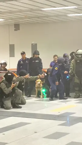 🛸🐕‍🦺 การฝึกซ้อมชุดปฏิบัติการพิเศษโดยใช้โดนตรวจสอบพื้นที่และการใช้ชุดk9  เข้าจัดการคนร้าย  C-MEX ##เทรนวันนี้