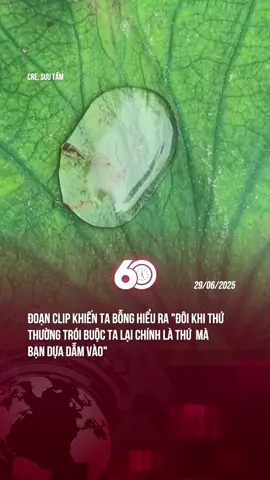 ĐÔI THỨ THỨ TRÓI BUỘC TA CHÍNH LÀ THỨ TA DỰA DẪM VÀO #60giay #theanh28 #tiktoknews 