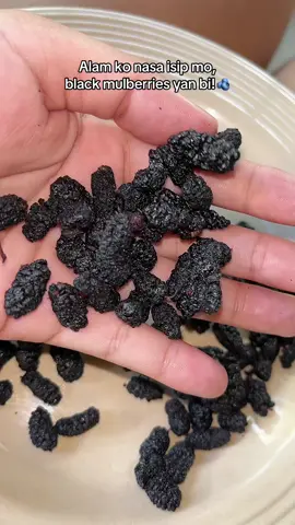 Natural Dried Mulberries!! #driedmulberry #driedmulberries #driedmulberrysnacks #blackmulberry #mulberry #driedsnacks #snack #snacks #food #fyppppppppppppppppppppppp #trendingproducts #viralproducts 