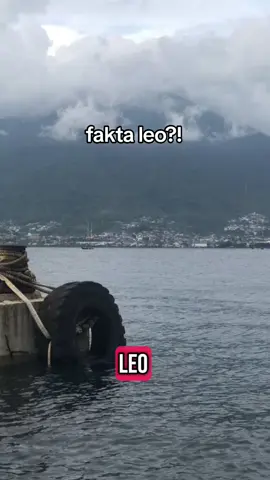 #zodiacsigns #zodiaktiktok #leo #leozodiakku #masukberandafyp #fypage #semogafyp #zodiakindonesia #lewatberanda #fyppppppppppppppppppppppp #fyppppppppppppppppppppppp #xyzabc #tiktokpelitfyp 