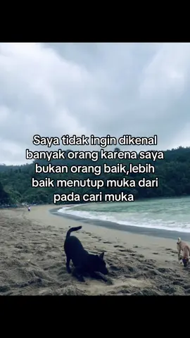 #masukberandafyp #katakata #foryou #fyp 