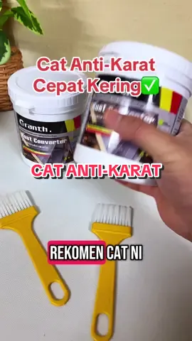 #catantikarat #rustconverterpaint #antirust #paint #cat 