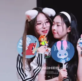 에겐녀가 추구라는 정하연..하지만 너무 Fox한 걸 #tripleS #트리플에스 #トリプルエス #トリプルS #정하연 #hayeon 