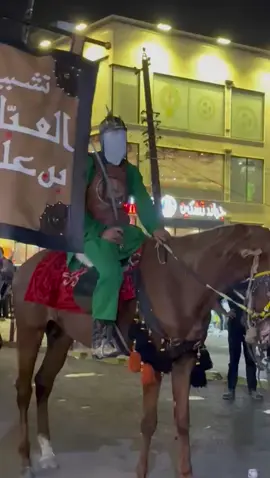 #علي #الاكبر #يارب #تشابيه_واقعة_الطف #دخول_ضعن_الامام_الحسين_الى_كربلاء #هاشتاك #ريل 