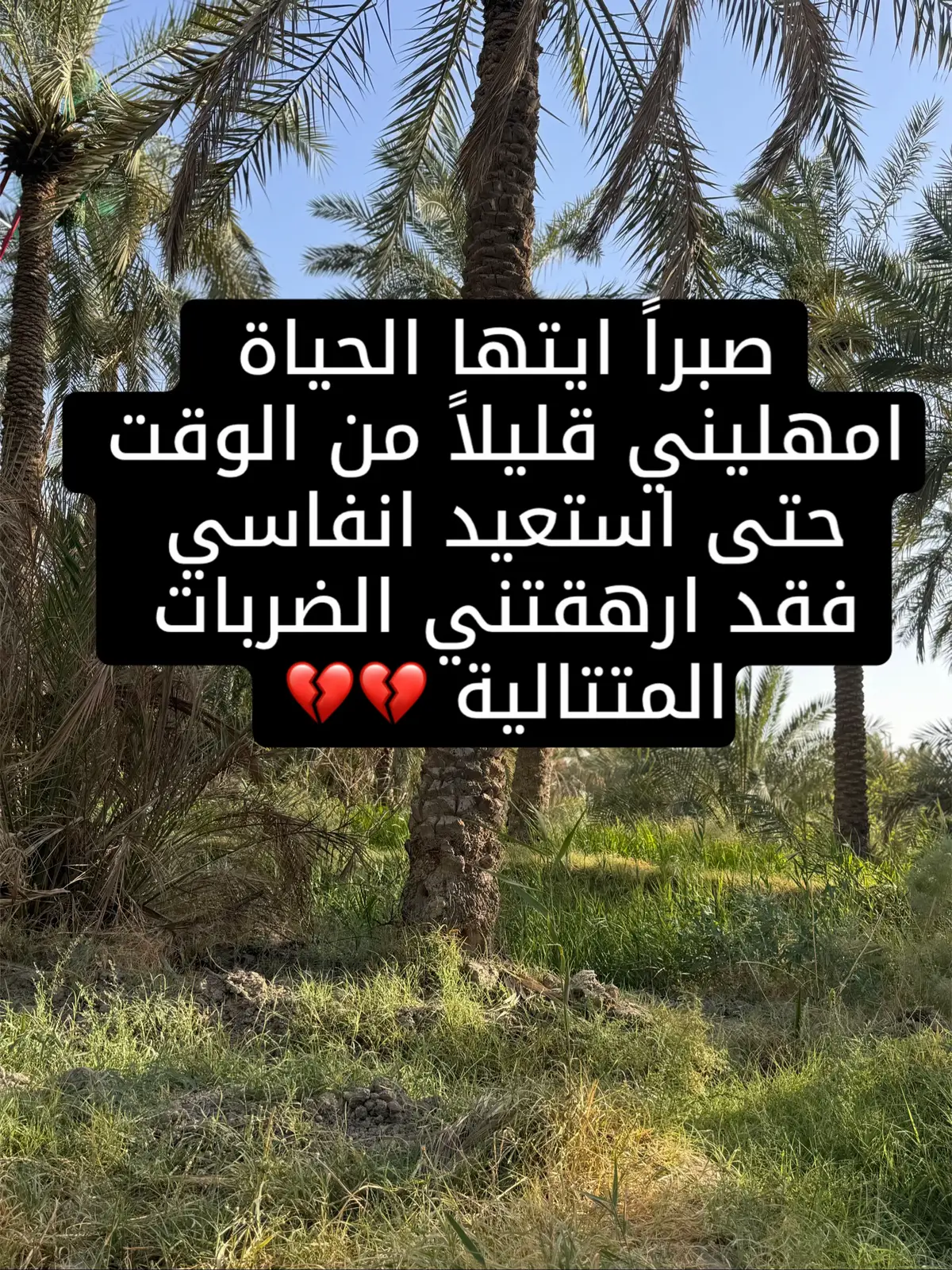 #الشعب_الصيني_ماله_حل😂😂🏃🏻‍♀️ 