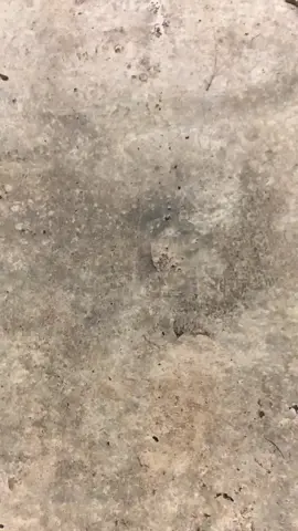 🤙🏻😜#xyzbca #4u #4u #xyzbca #kphjogjastyle🚀 #karisma125 #fyp 