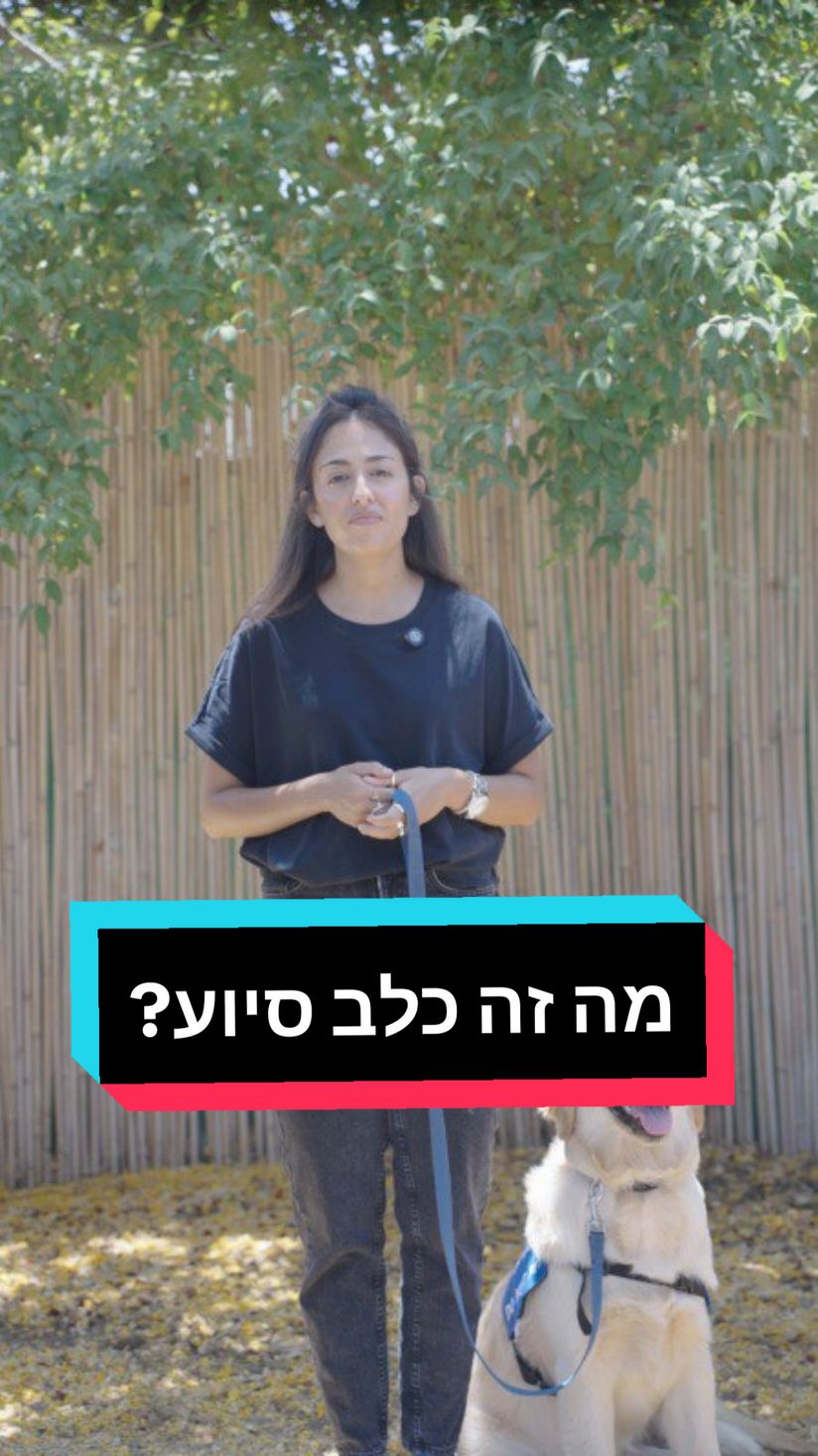 אז שמעתם על כלבי סיוע. אבל אתם יודעים באמת מה הם עושים? צפו בסרטון וגלו איך הם משנים חיים. #נציבות_שוויון_זכויות #מנגישים_את_ישראל #כלב_סיוע #פוריוווו #כאן_בשבילכם #מודעות #נגישות 