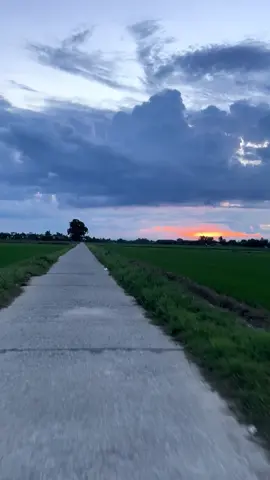 Đây là tiếng nói VIỆT NAM .... âm thanh quen thuộc của tuổi thơ bao người #xuhuongtiktok #vietnam #tuoithotoi #daitiengnoivietnam #hue 