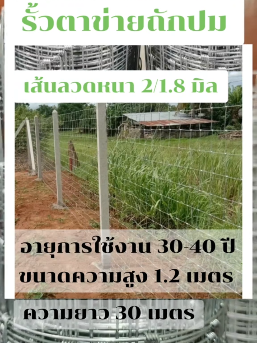ตาข่ายถักปม ตาข่ายรั้วแรงดึง ขนาดสวยตาเท่ากัน #ล้อมรั้วทั่วไทย #ล้อมรั้วที่ดินแปลงที่ซื้อใหม่ #รั้วล้อมไร่นา #รั้วสวนผลไม้ #รั้วราคาประหยัด #เทรนมาแรงวันนี้❤️ #ปิดกั้นสัตว์เลี้ยง #รั้วคอกสัตว์ #รั้วทนทาน #รั้วใช้นาน #รั้วติดตั้งง่าย #รั้วแข็งแรง #รั้วdiy กันขโมย #ฟีดดดシ #สินค้าขายดีในติ้กต้อก #ของมันต้องมี 