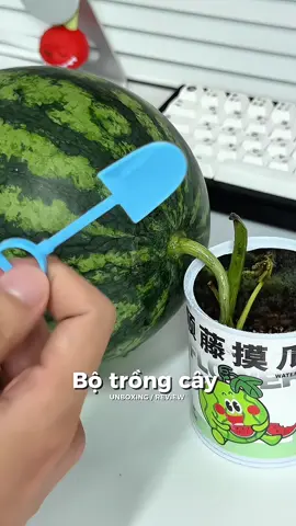 Bộ trồng cây #riviulv1 #xuhuong #unboxing #bokittrongcay #kittrongcay #kittrongcaymini 