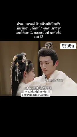 อิพี่มีเมียหลายคนแต่พี่มีเมียที่รักเพียงคนเดียวจ้า #ลวงเล่ห์เสน่ห์ดอกท้อ #theprincesssgambit #เมิ่งจื่ออี้ #หลิวเสวียอี้ #มักผู้บ่าวจีนสะใภ้จีนมโน #tpbpp8 #tpbpp #ซีรีส์จีน 
