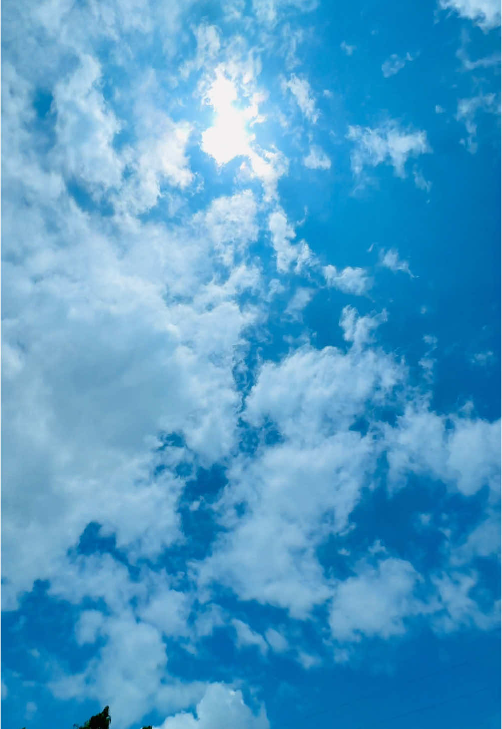 ভিও 🌤️ #প্রকৃতির_অপূর্ব_সৌন্দর্য🥰 #foryoupage #ফরইউতে_দেখতে_চাই #repost #প্লিজ_একটা_শেয়ার_করবেন। #foryoupage 