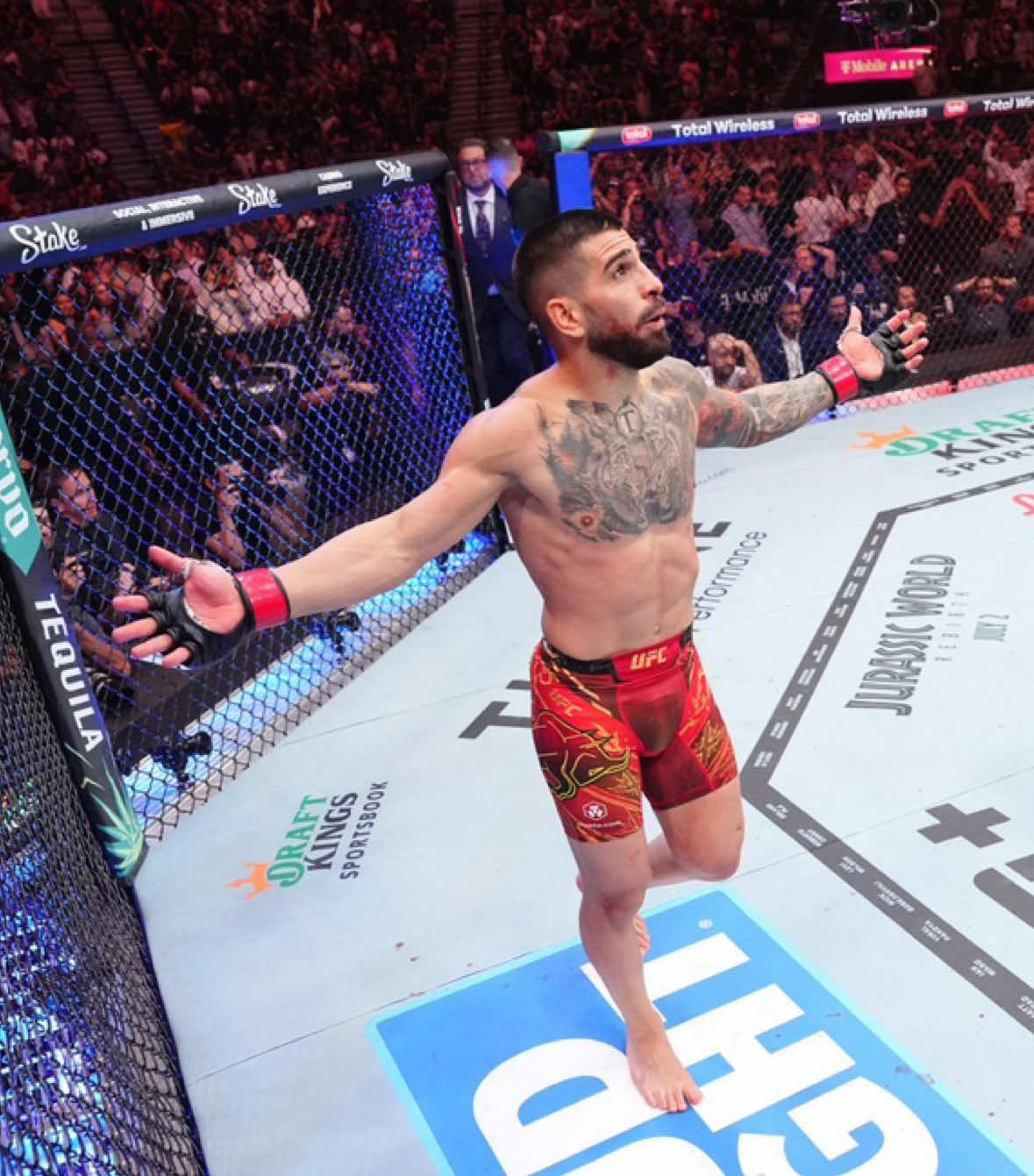 🇬🇪🇪🇸Topuria vs Oliveira🇧🇷 #UFC #mma #highlight #fyp #viral_videos 