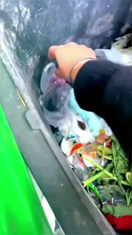 Man found an abandoned puppy in trash can and adopted it #animal #animalsoftiktok #rescueanimals #animallover #puppy #dog 